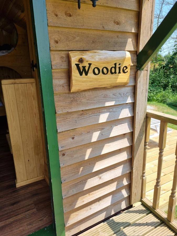 Woodie The Shepherds Hut - Sleeps 4 Chichester Exterior foto